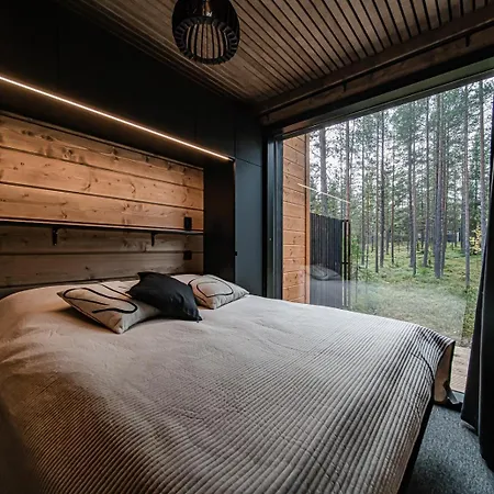 Апартаменты Blackberry B By Aavalevi